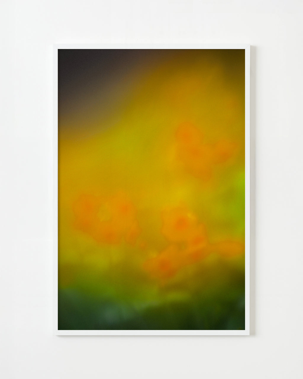 Photography by Jordan Sullivan titled "The Autumns of Spring 32" - 1.
