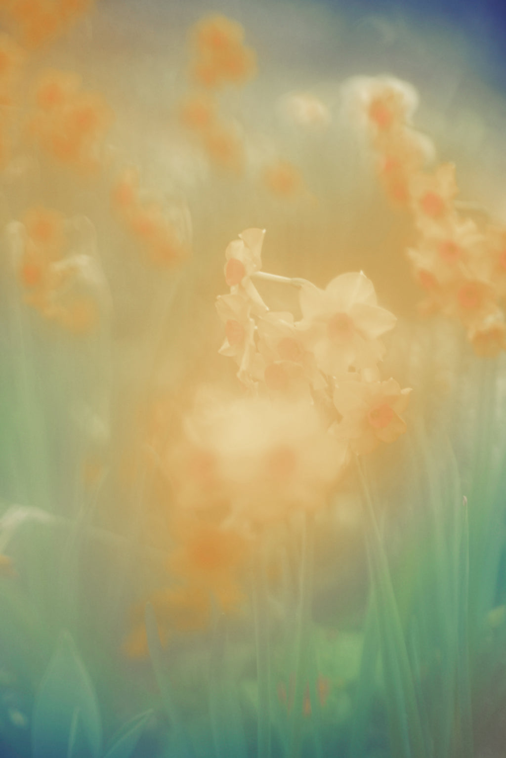 Photography by Jordan Sullivan titled "The Autumns of Spring 4" - 2.