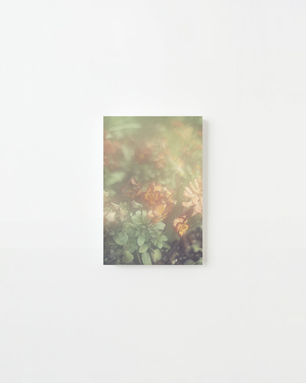 Photography by Jordan Sullivan titled "The Autumns of Spring 57" - 3.