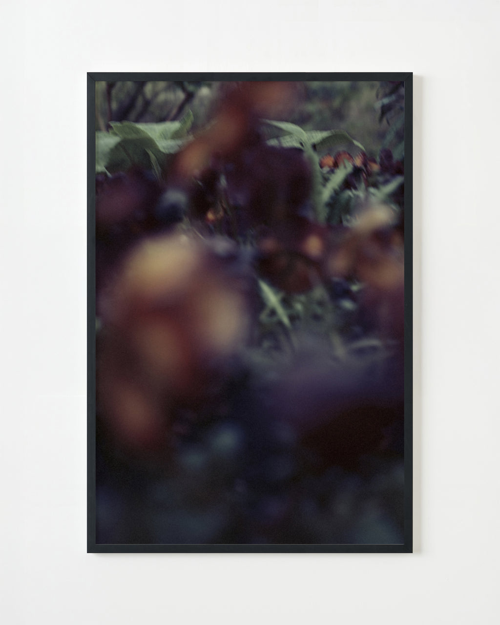 Photography by Jordan Sullivan titled "The Autumns of Spring 58" - 4.