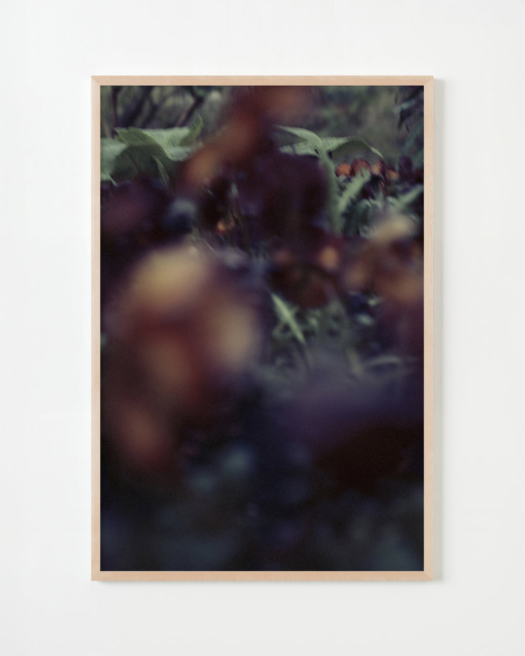 Photography by Jordan Sullivan titled "The Autumns of Spring 58" - 5.