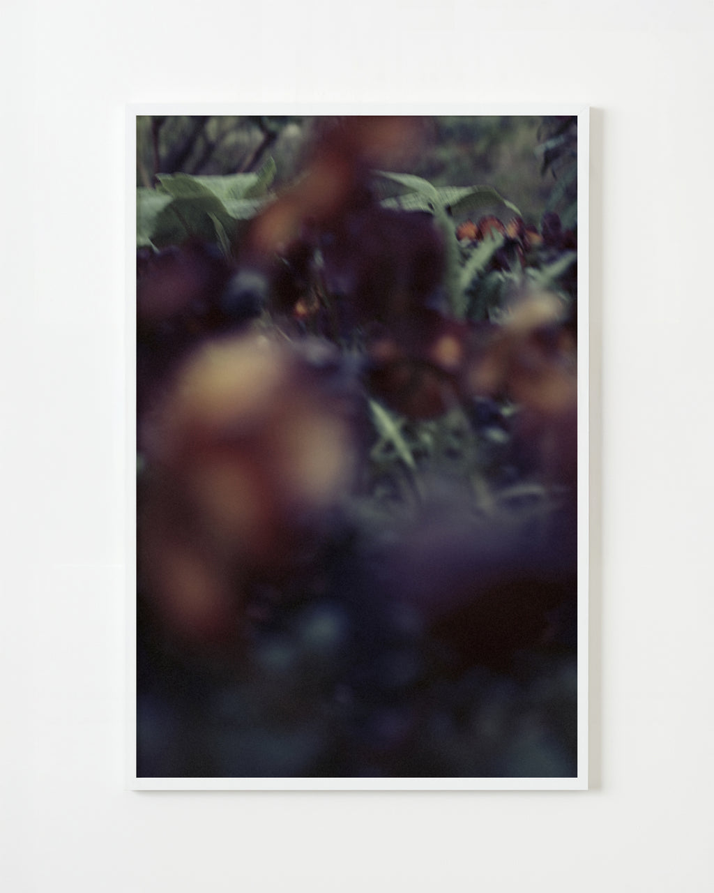 Photography by Jordan Sullivan titled "The Autumns of Spring 58" - 1.