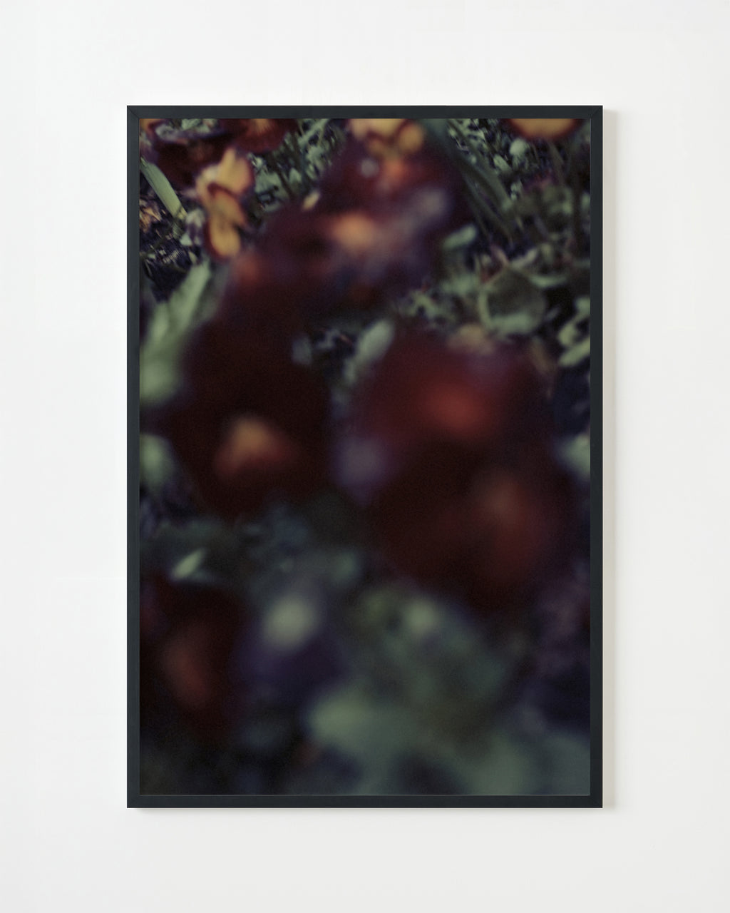 Photography by Jordan Sullivan titled "The Autumns of Spring 59" - 4.