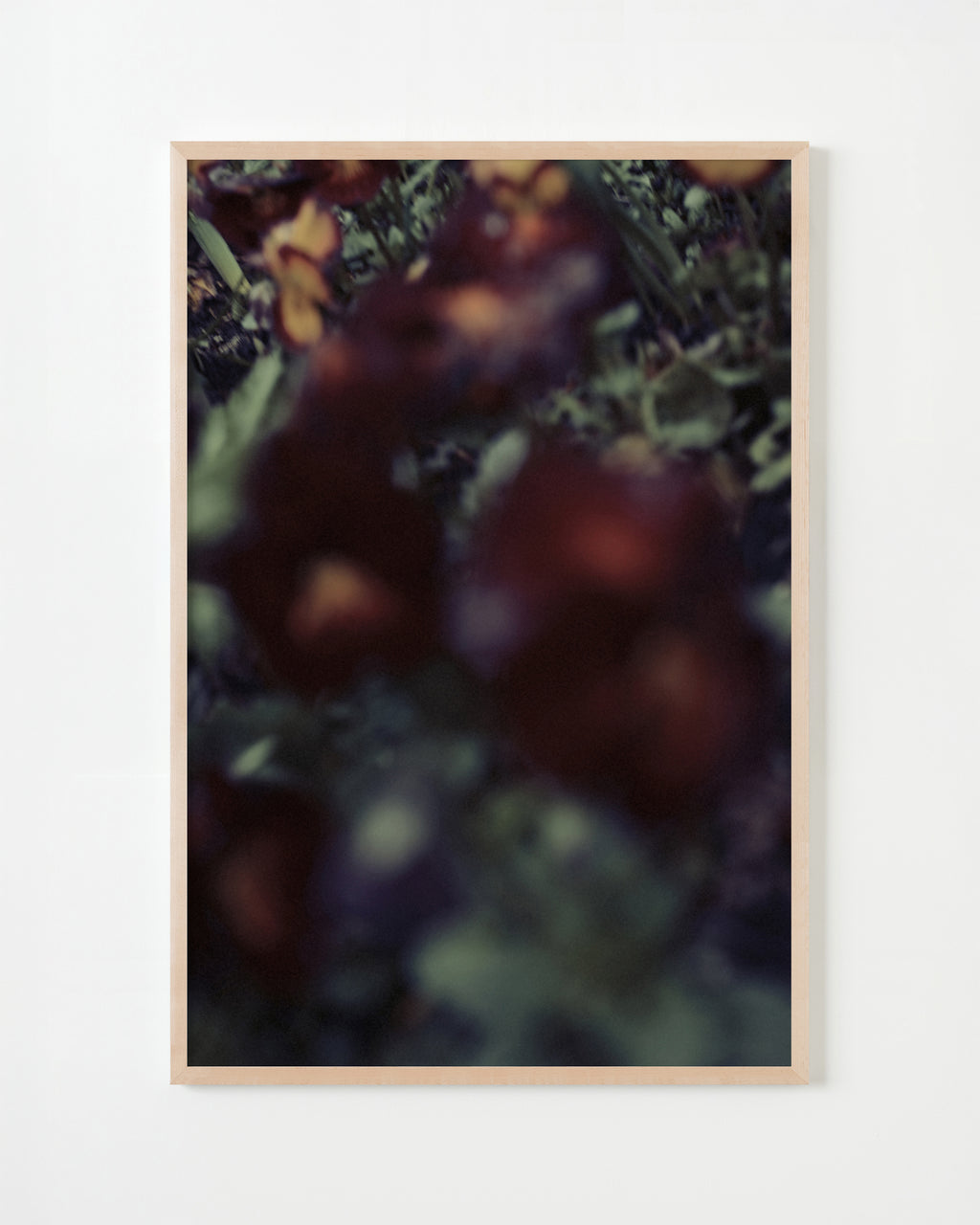 Photography by Jordan Sullivan titled "The Autumns of Spring 59" - 5.