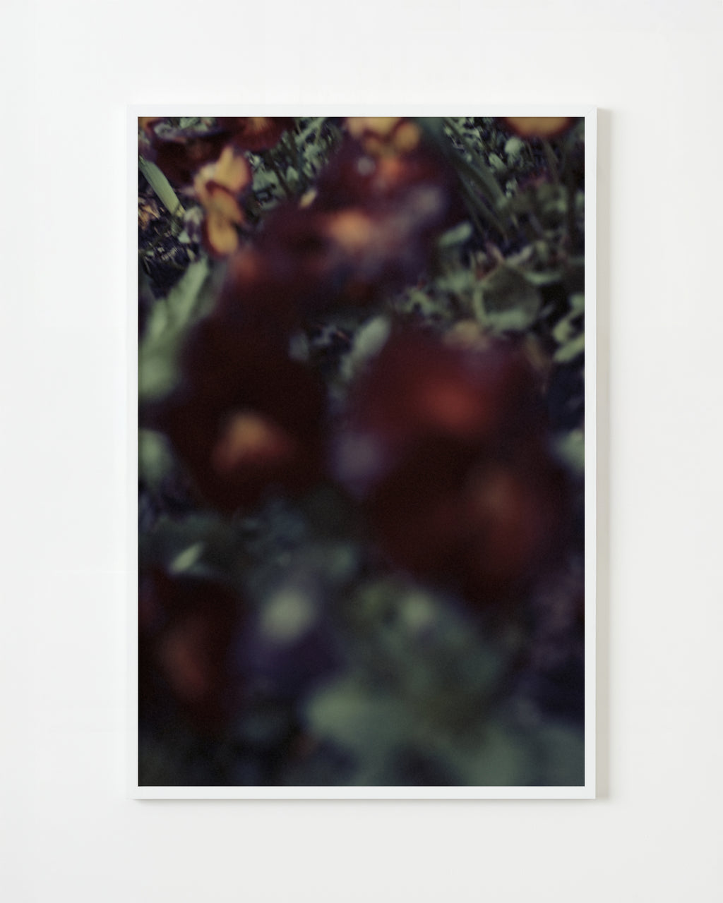 Photography by Jordan Sullivan titled "The Autumns of Spring 59" - 1.
