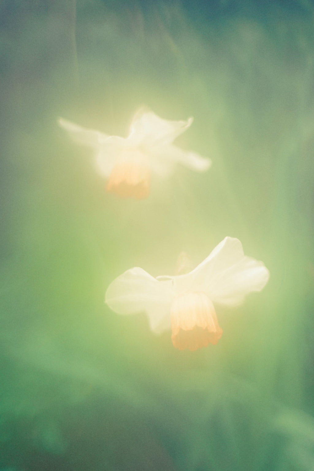 Photography by Jordan Sullivan titled "The Autumns of Spring 8" - 2.