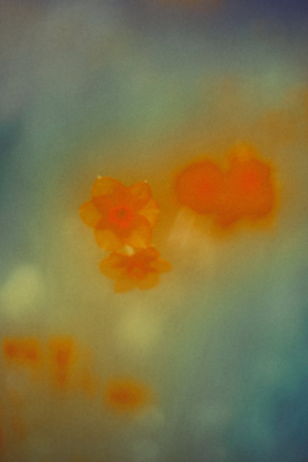 The Autumns of Spring 9 | Jordan Sullivan | Buy Original Art