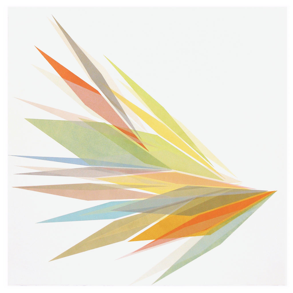 Print by Laura Berman titled "Umbra RM10" - 2.