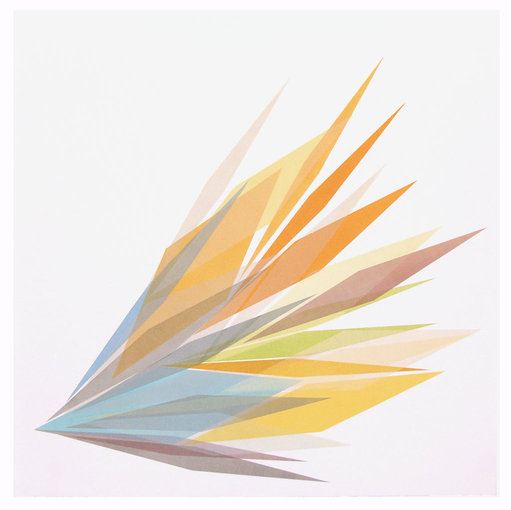 Print by Laura Berman titled "Umbra RM8" - 2.