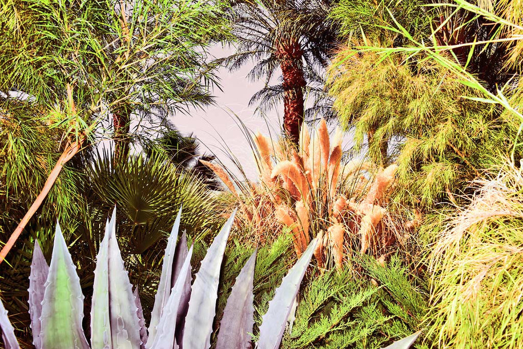 Photography by Dolly Faibyshev titled "Nature Study, Day" - 2.