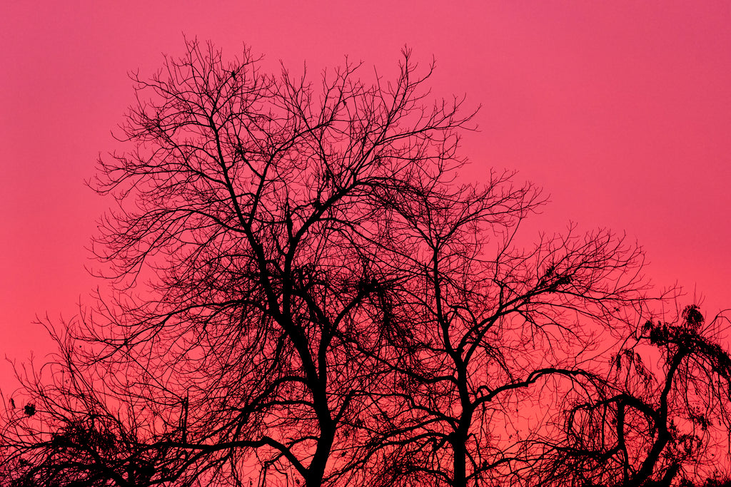 Photography by Jessica Haye & Clark Hsiao titled "Aldama Sky" - 2.