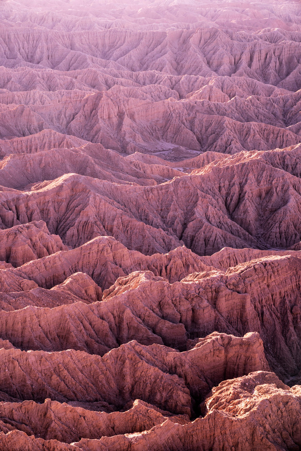 Photography by Jessica Haye & Clark Hsiao titled "Anza Borrego" - 2.