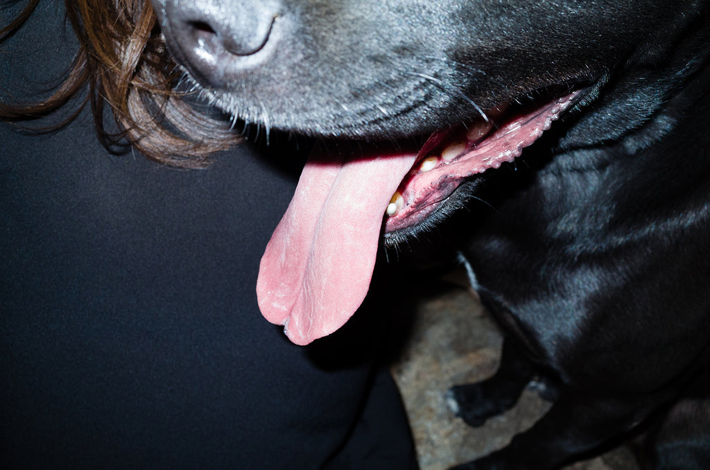 Photography by Jessica Haye & Clark Hsiao titled "Apollo" - 2.