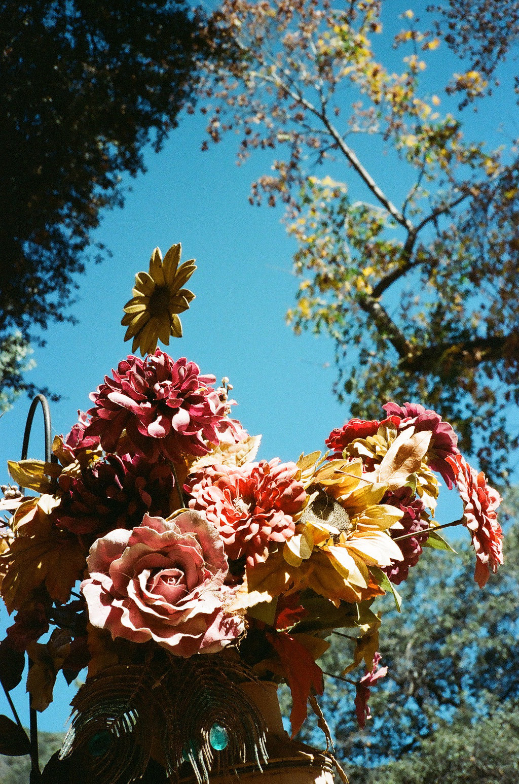 Photography by Jessica Haye & Clark Hsiao titled "Autumn Bouquet" - 2.
