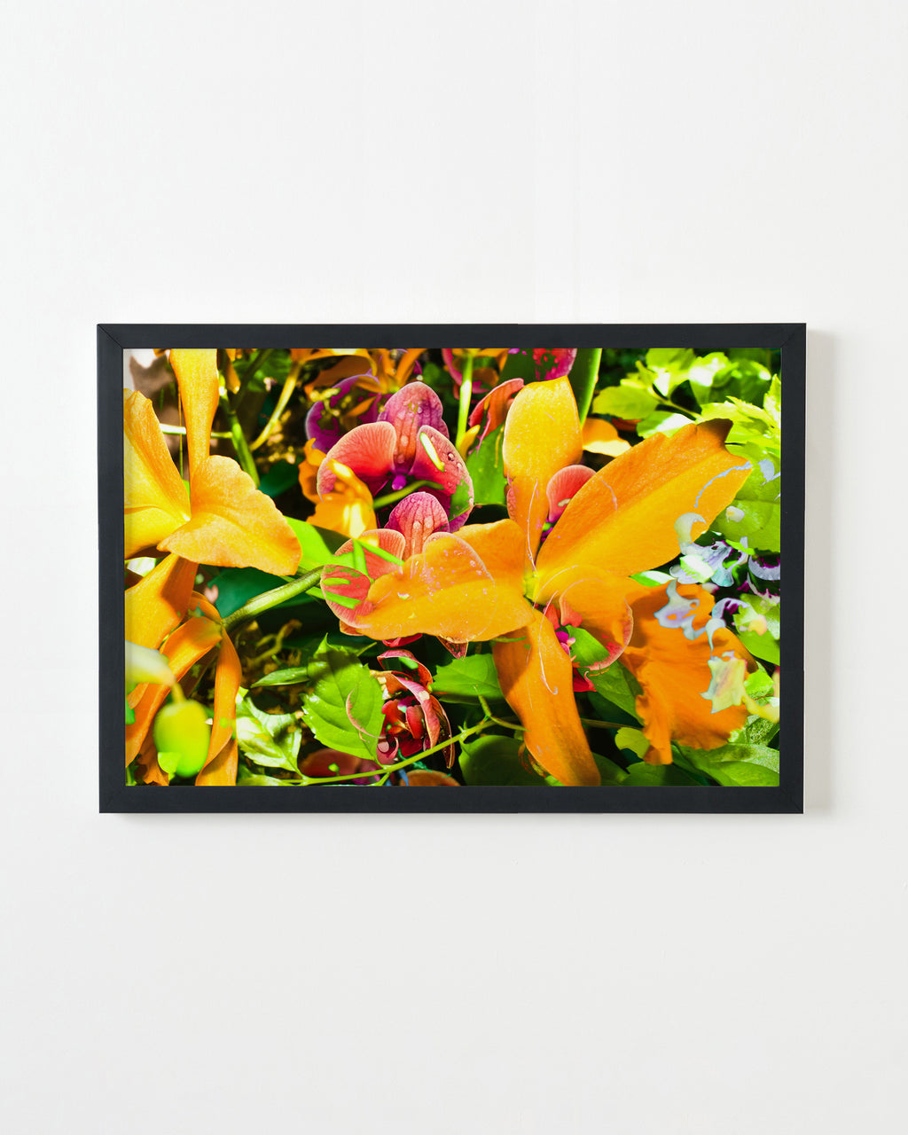 Photography by Dolly Faibyshev titled "Sugar Magnolia" - 3.