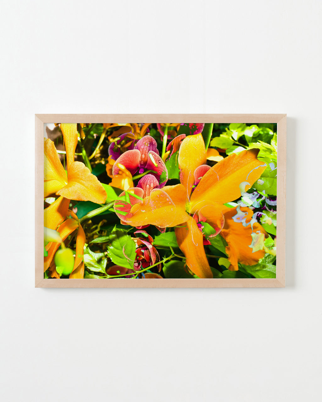 Photography by Dolly Faibyshev titled "Sugar Magnolia" - 4.