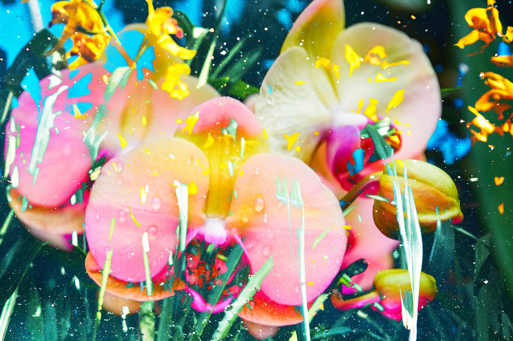 Photography by Dolly Faibyshev titled "You Belong Among The Wildflowers" - 2.