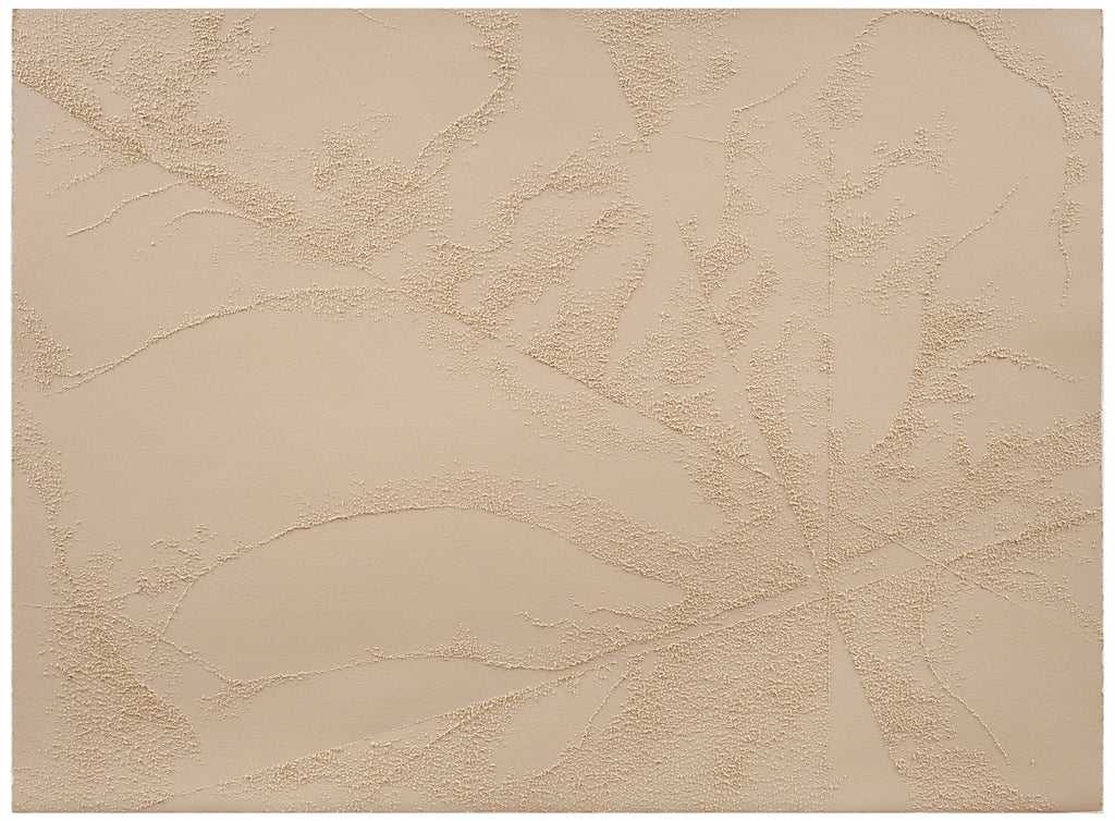 Drawing by Colleen Ho titled "Evolving Landscape" - 2.