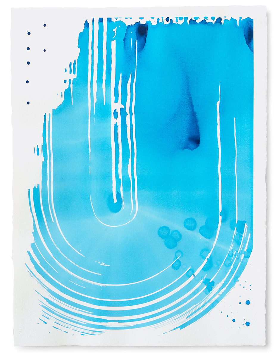 Painting by Linda Colletta titled "Starling IV" - 2.