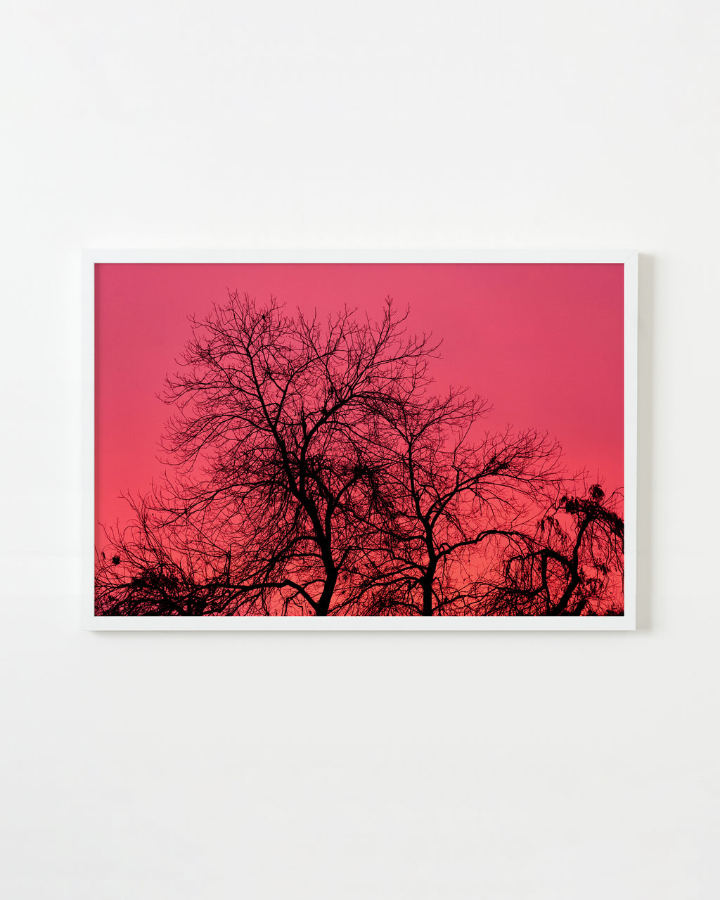 Photography by Jessica Haye & Clark Hsiao titled "Aldama Sky" - 1.