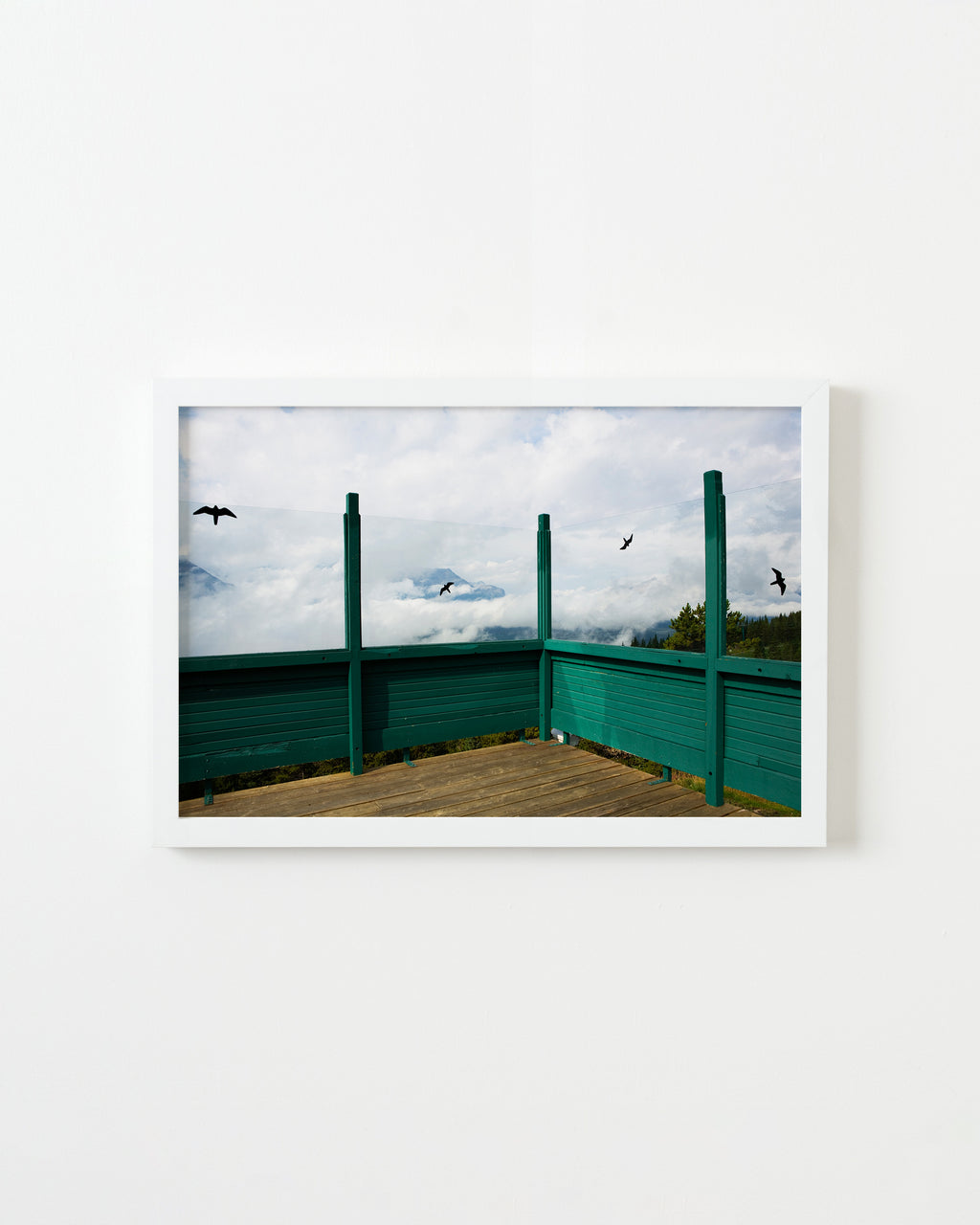 Photography by Jessica Haye & Clark Hsiao titled "Birds" - 1.