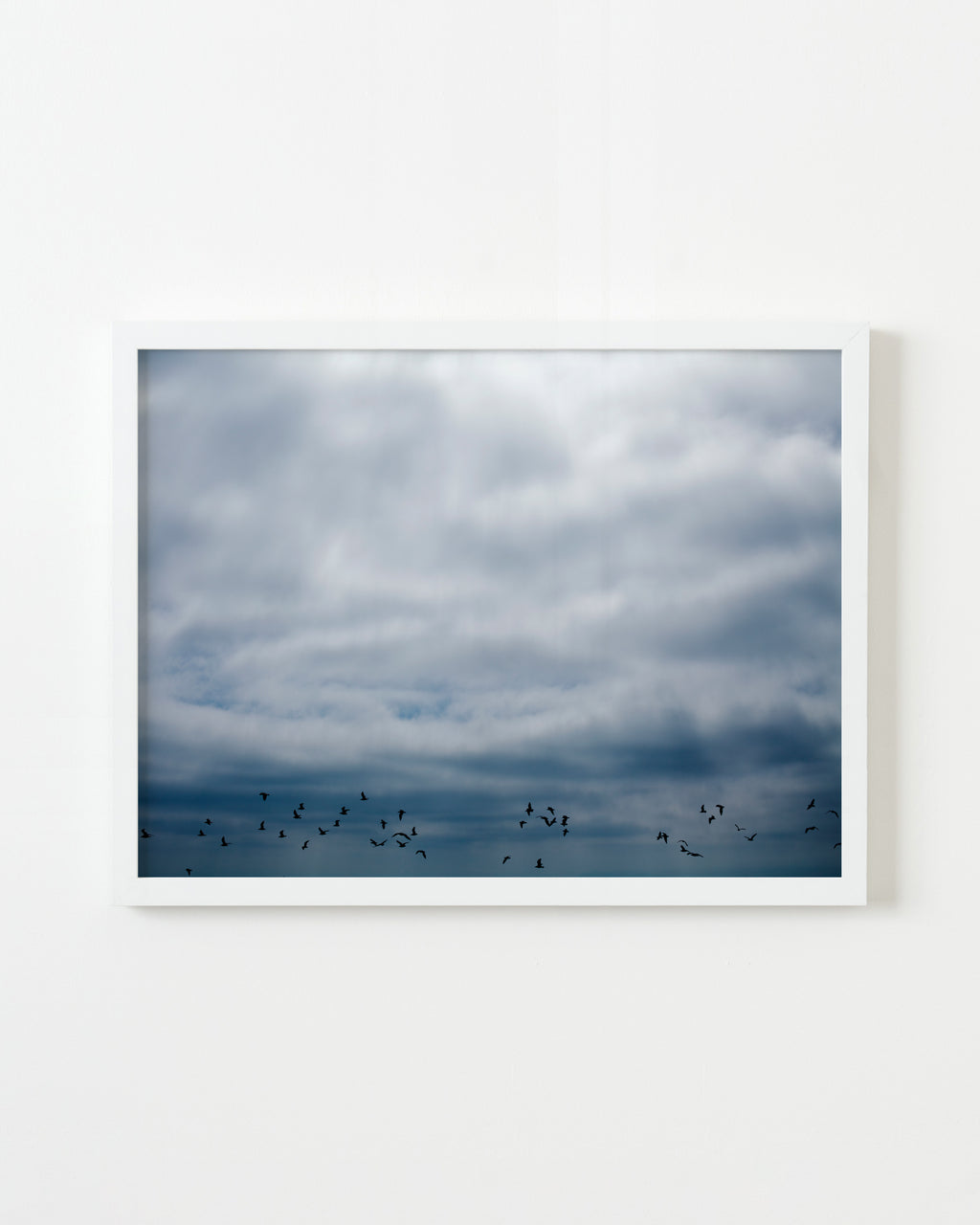 Photography by Jessica Haye & Clark Hsiao titled "Flock" - 1.