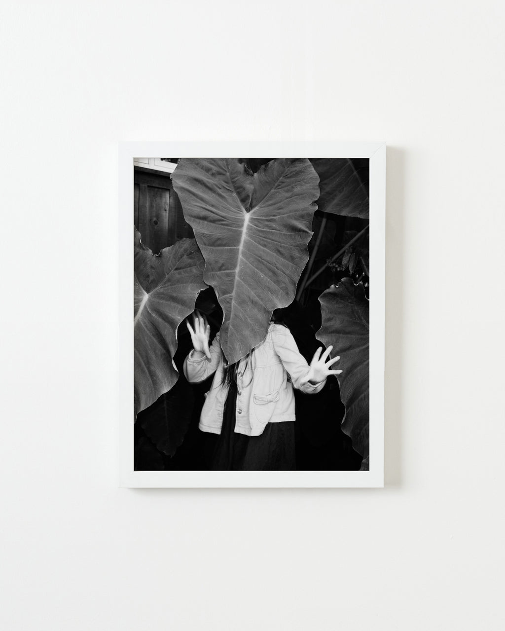 Photography by Jessica Haye & Clark Hsiao titled "Leaf Head" - 1.