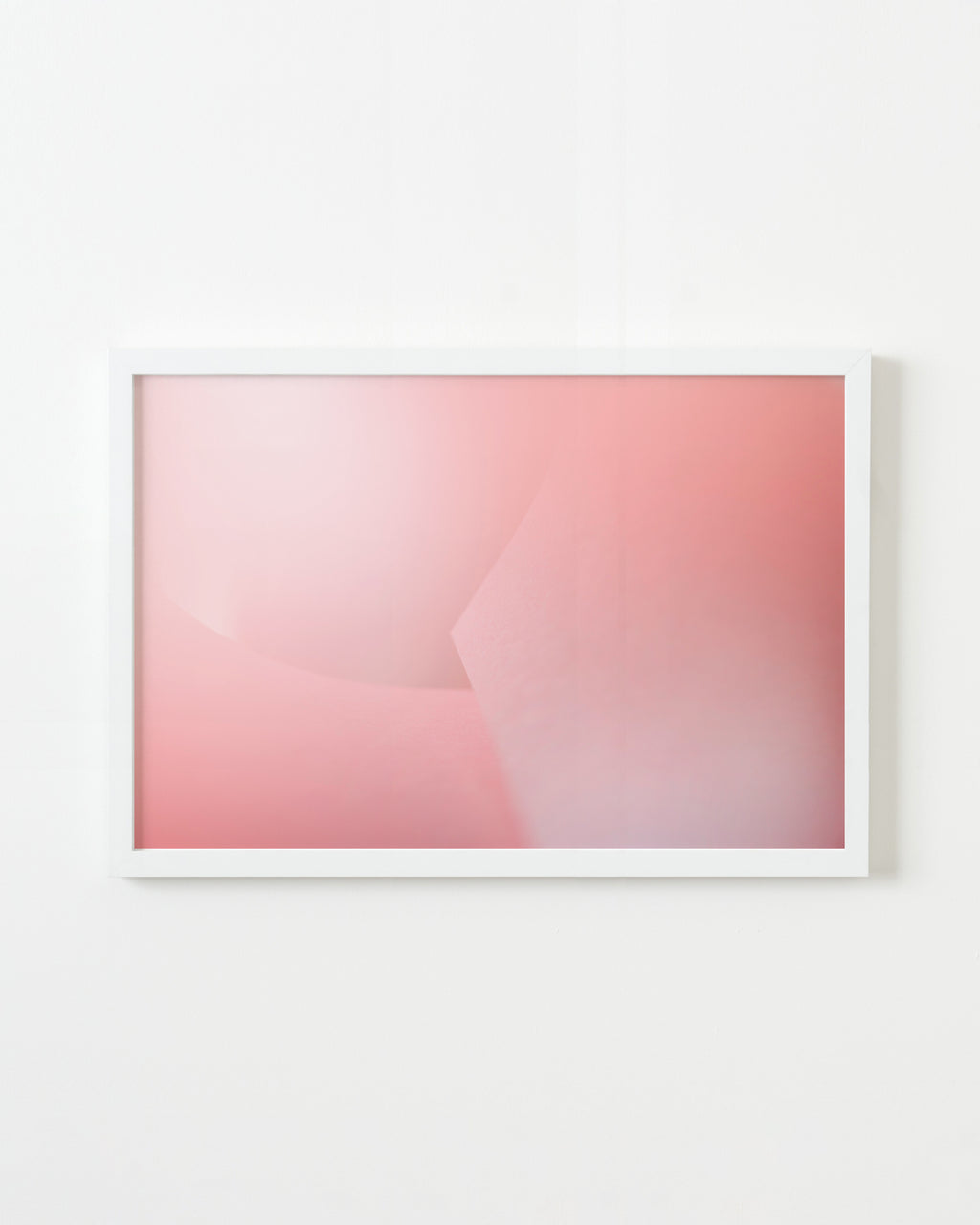 Photography by Jessica Haye & Clark Hsiao titled "Paperwork" - 1.