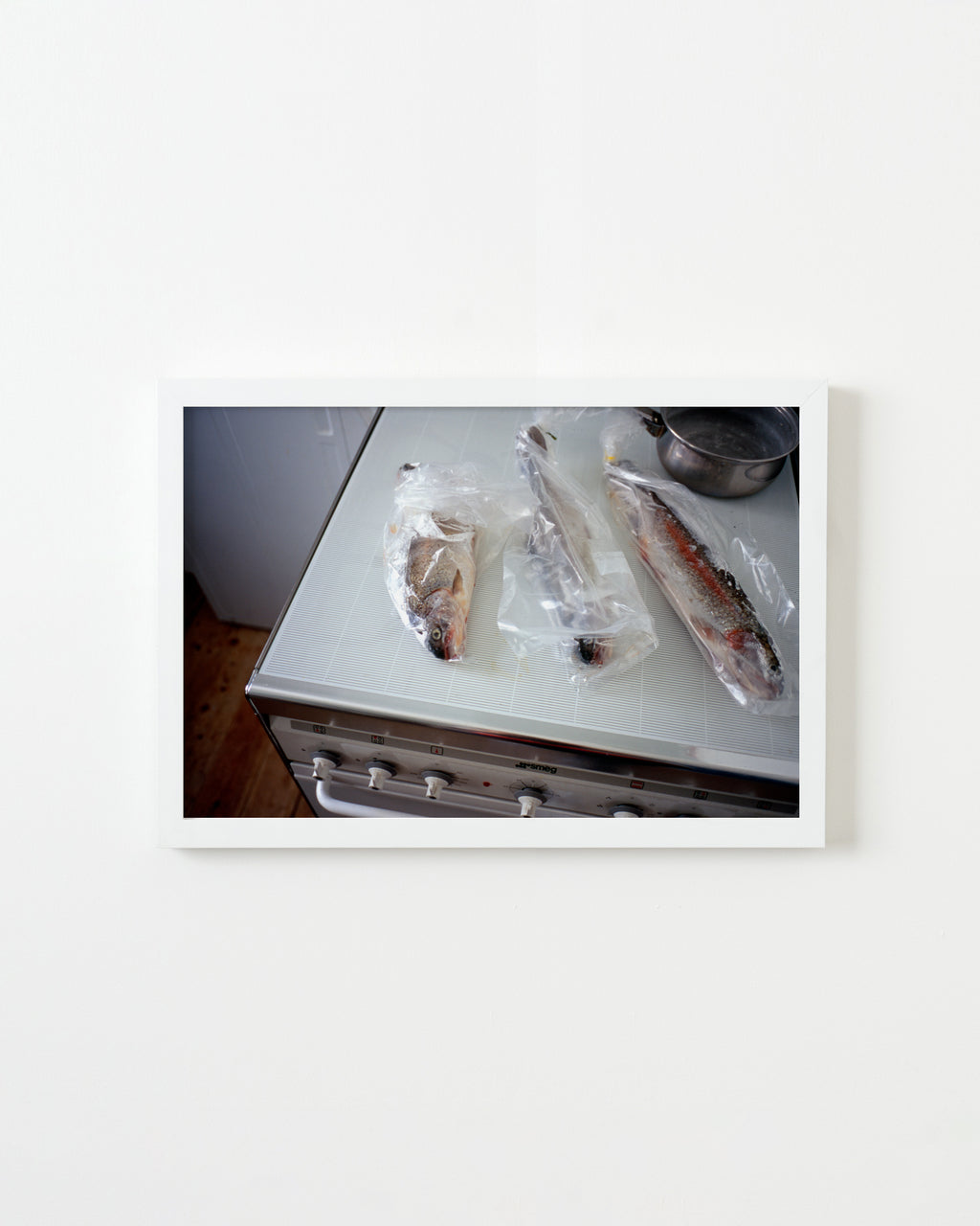 Photography by Jessica Haye & Clark Hsiao titled "Trout" - 1.