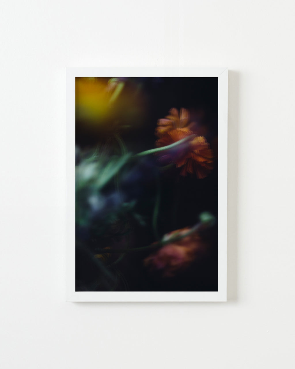 Photography by Jessica Haye & Clark Hsiao titled "Ranunculus" - 1.