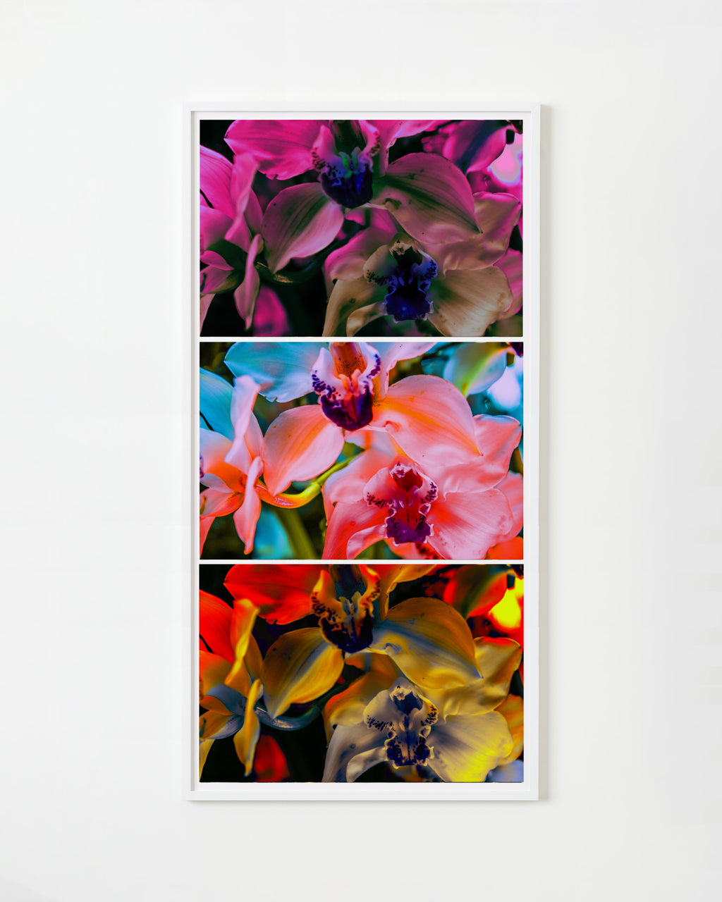 Photography by Dolly Faibyshev titled "Nothing But Flowers" - 1.