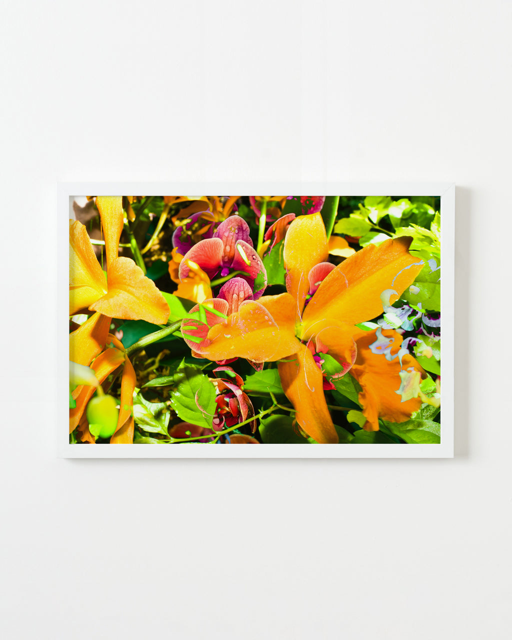 Photography by Dolly Faibyshev titled "Sugar Magnolia" - 1.