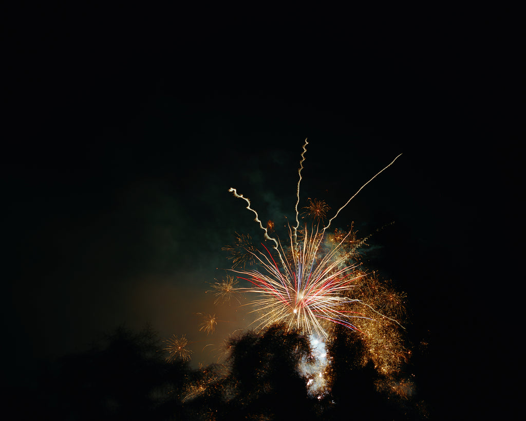 Photography by Jessica Haye & Clark Hsiao titled "Fireworks" - 2.