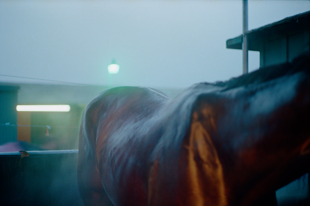 Photography by Jessica Haye & Clark Hsiao titled "Fluorescent Horse" - 2.