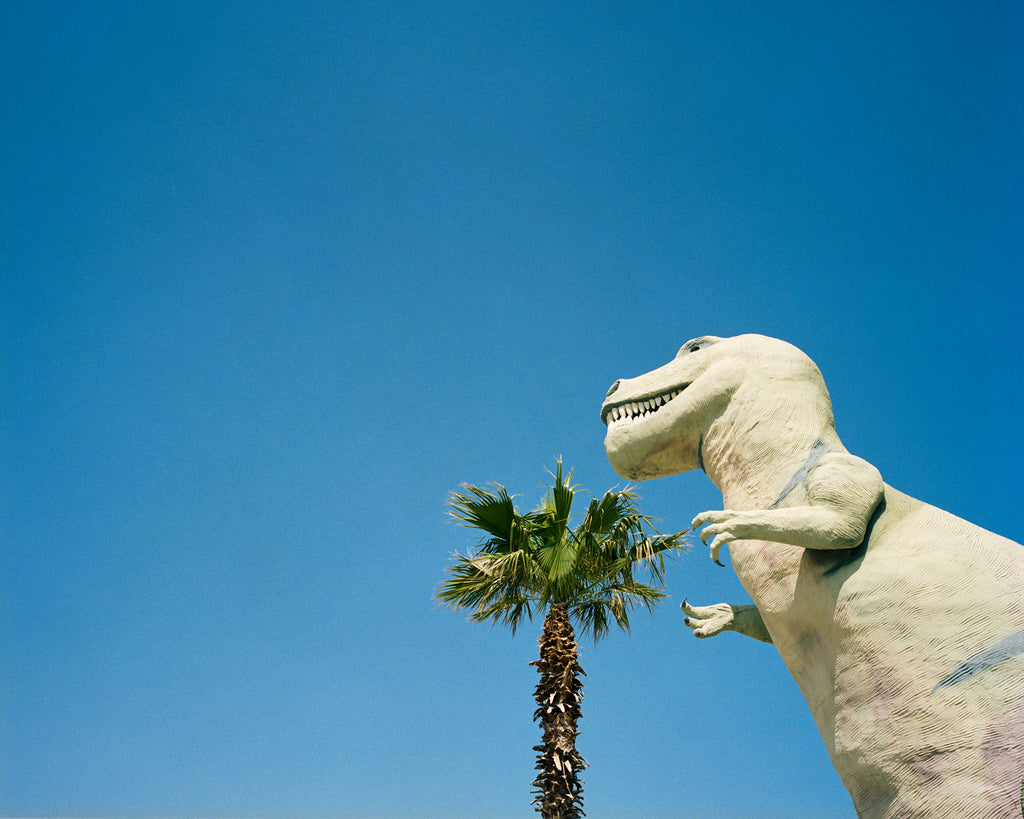 Photography by Jessica Haye & Clark Hsiao titled "History" - 2.