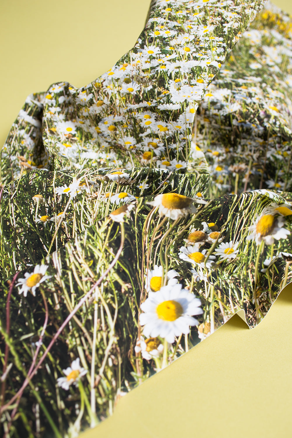 Photography by Teresa Christiansen titled "Inflect" - 2.