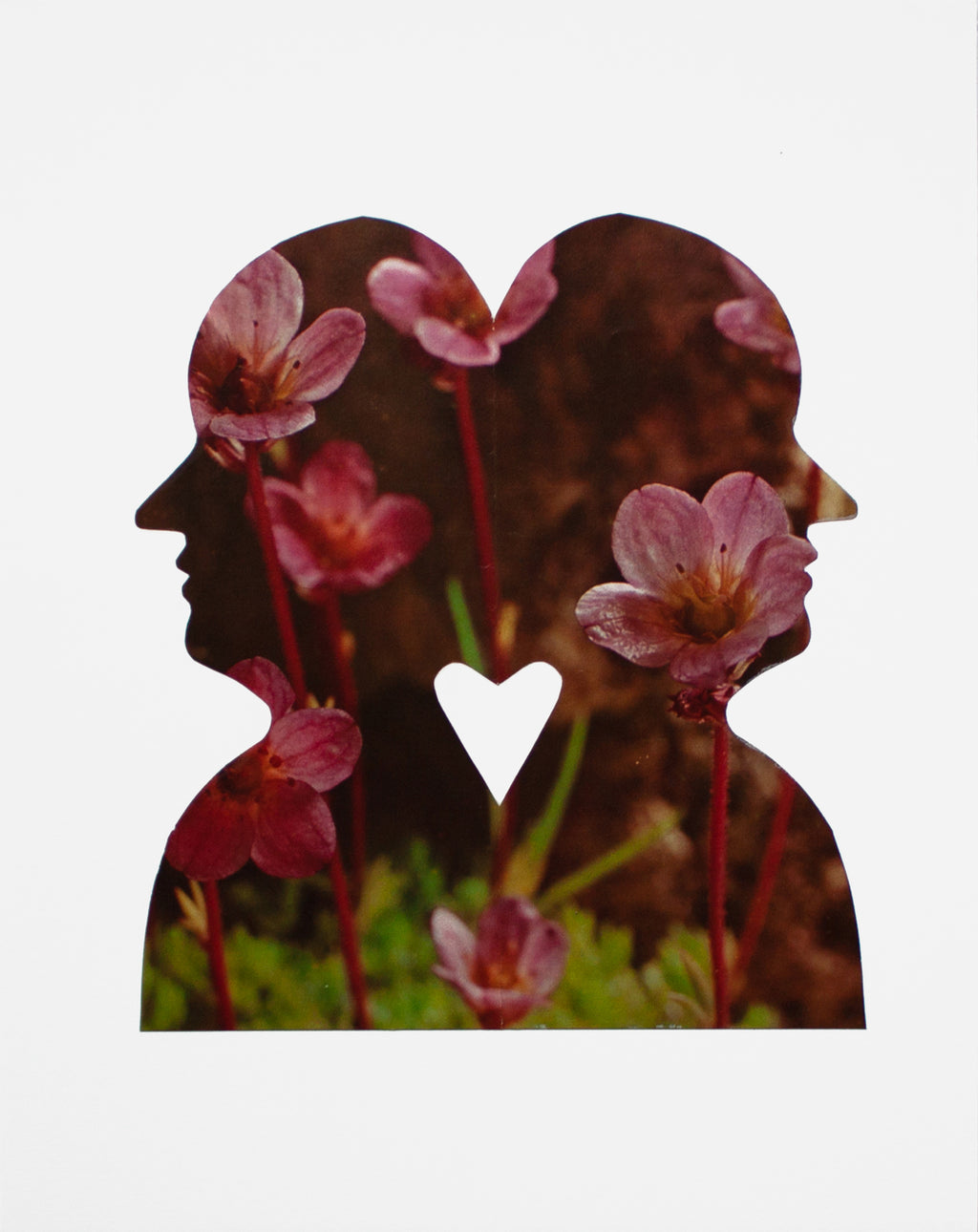 Mixed Media by Jessica Sinks titled "Companion" - 2.