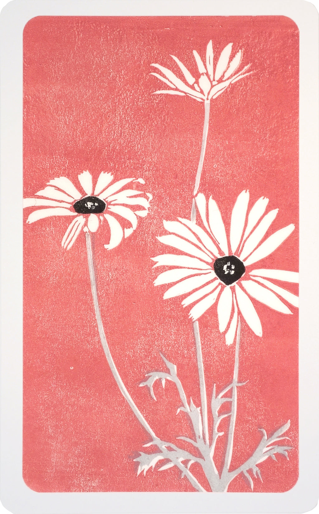 Print by Langdon Graves titled "Daisies" - 2.