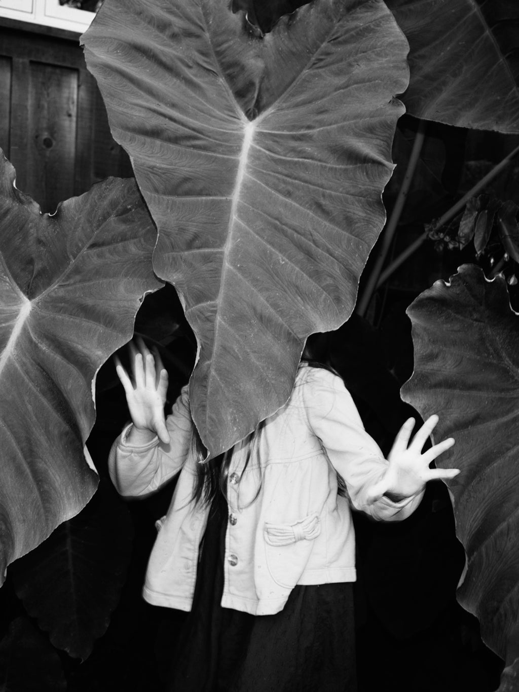 Photography by Jessica Haye & Clark Hsiao titled "Leaf Head" - 2.