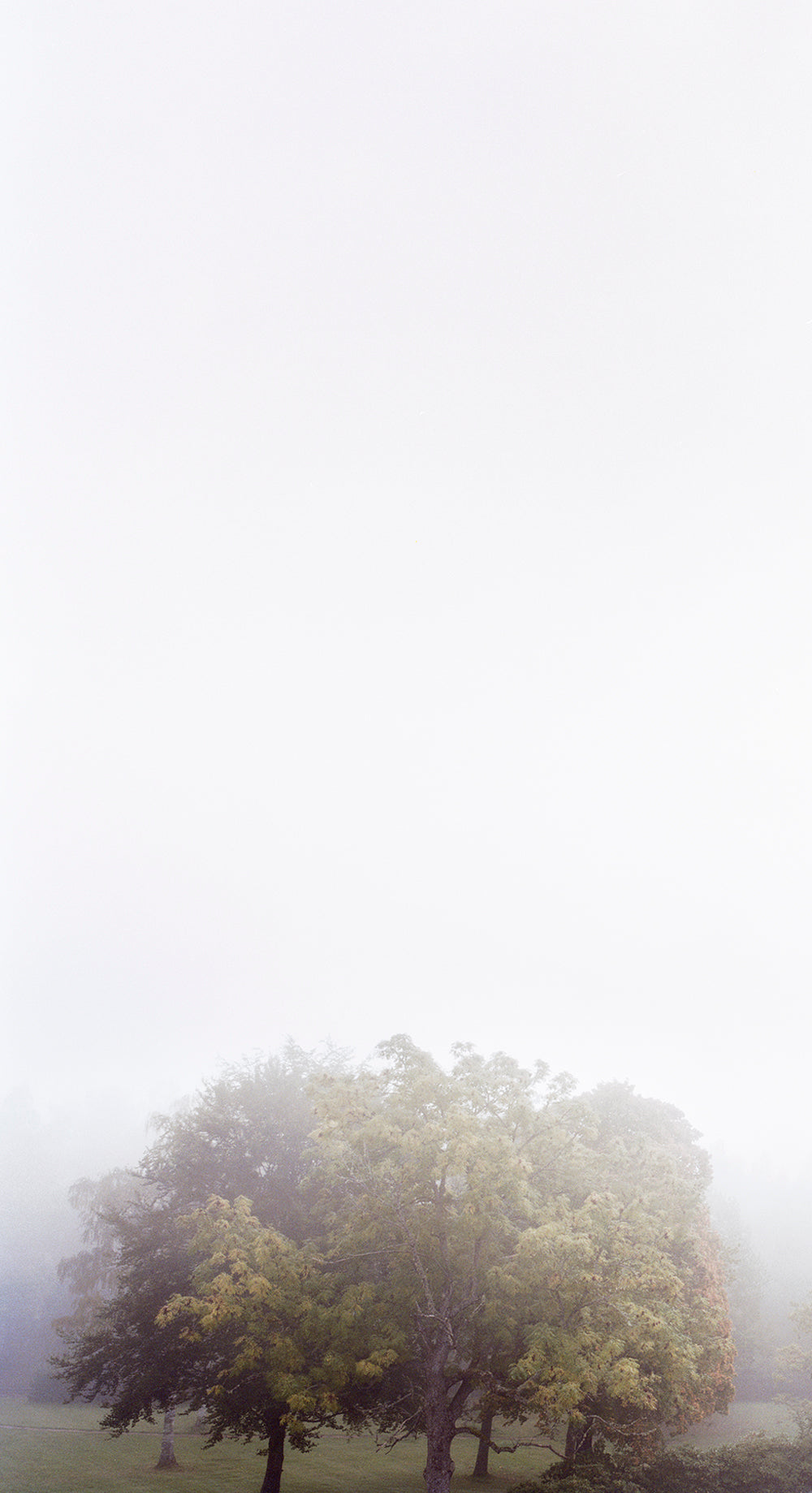 Photography by Anna Moller titled "Long Way Home 6" - 2.