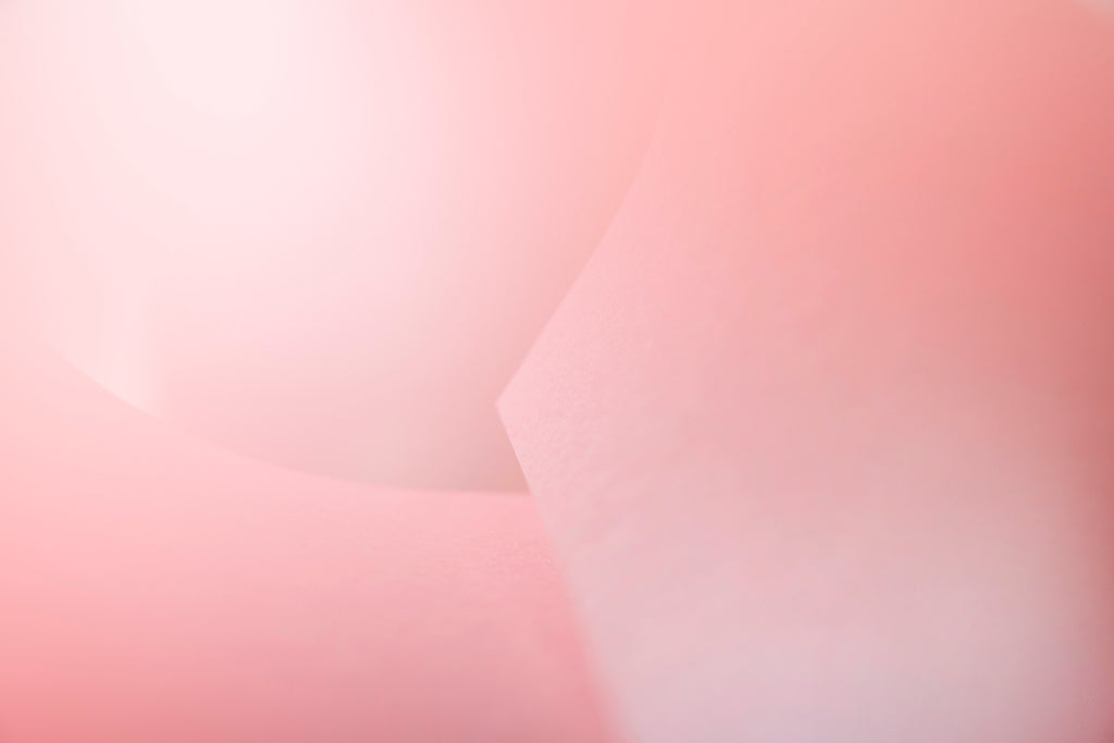 Photography by Jessica Haye & Clark Hsiao titled "Paperwork" - 2.