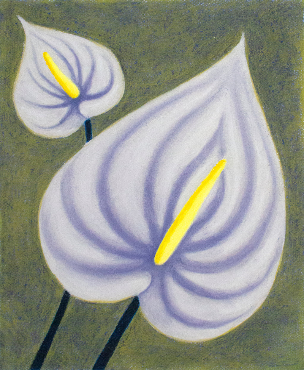 Drawing by Rachel Levit Ruiz titled "Anthurium" - 2.