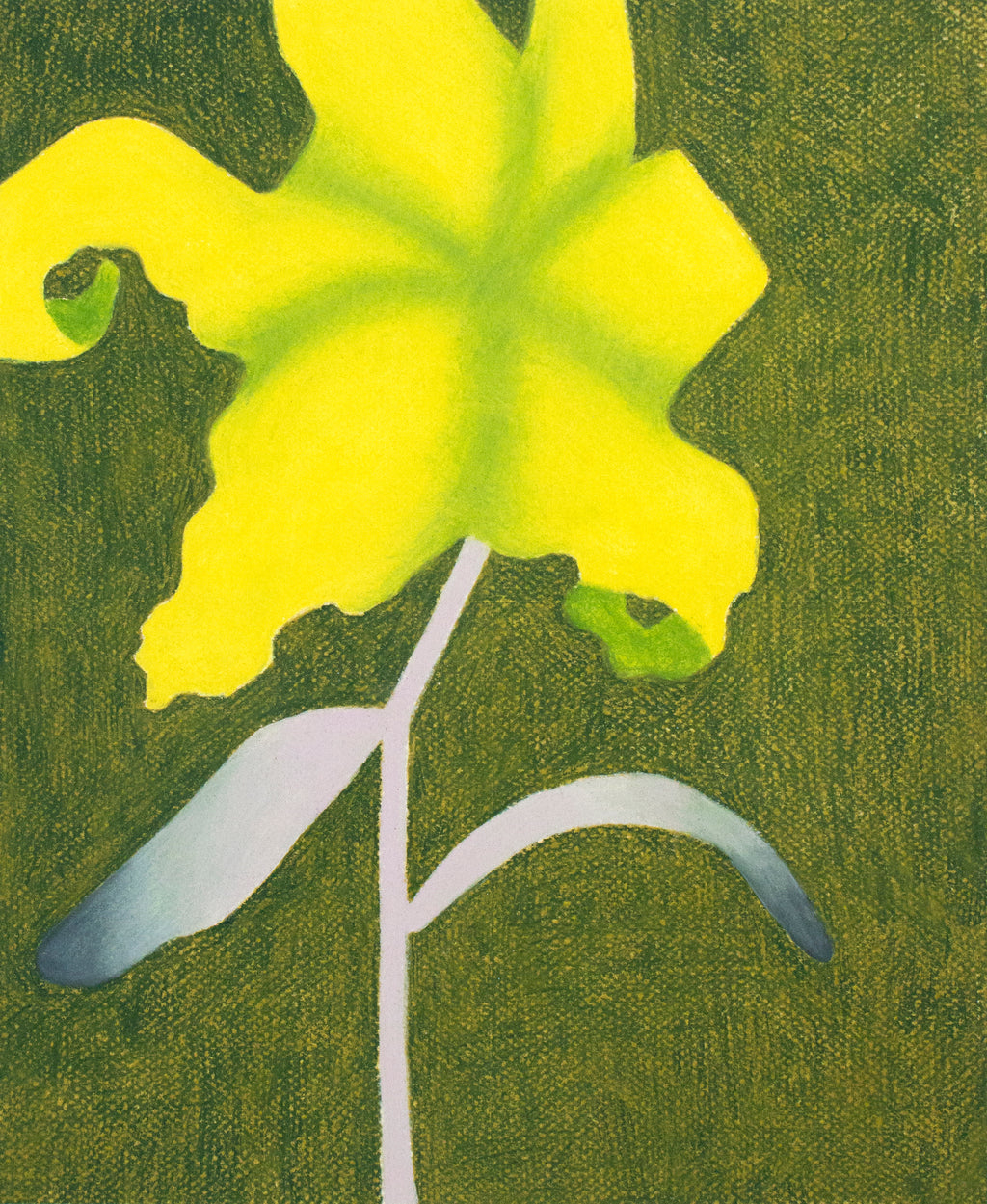 Drawing by Rachel Levit Ruiz titled "Lilly" - 2.