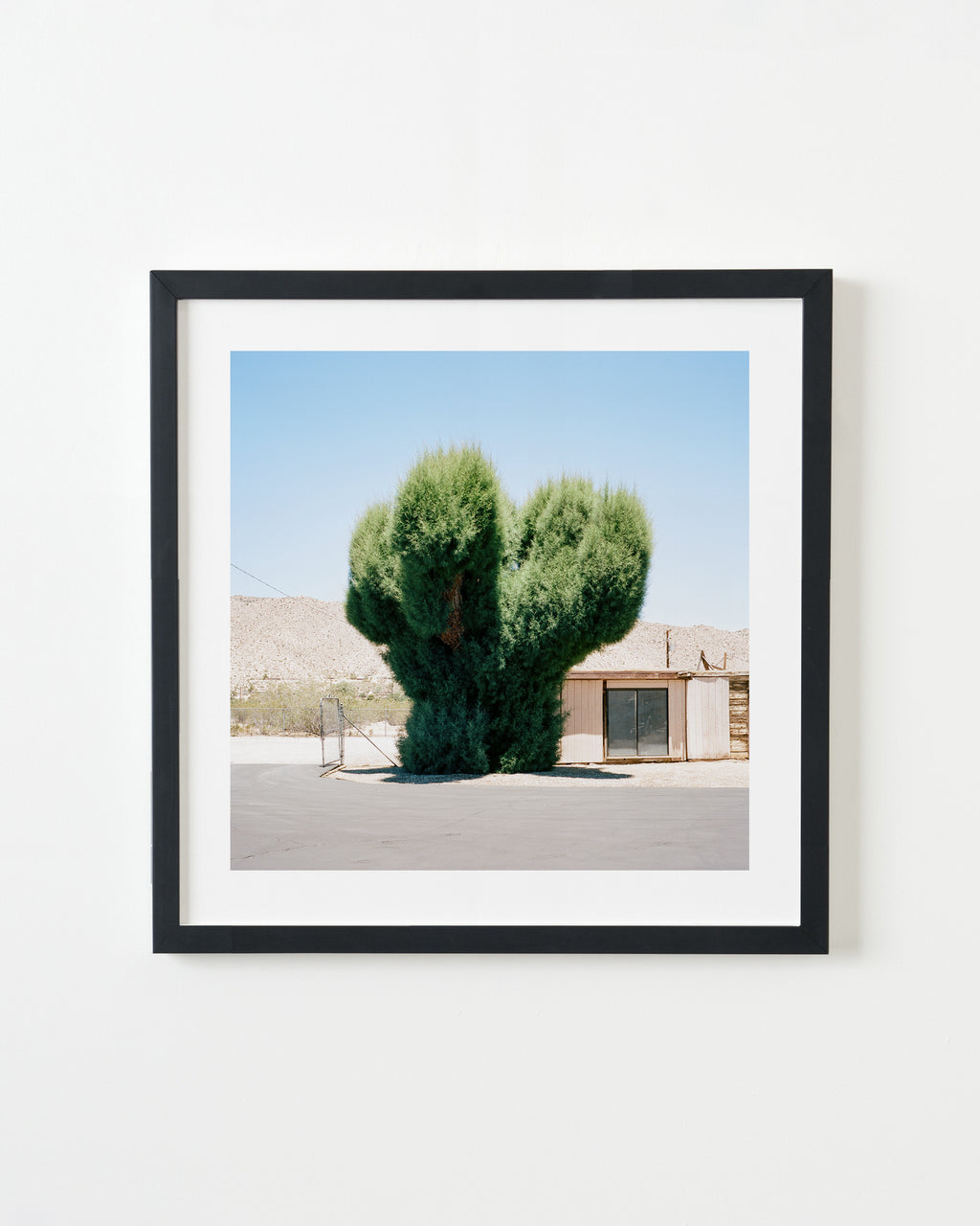 Photography by Sinziana Velicescu titled "Yucca Valley, CA" - 3.