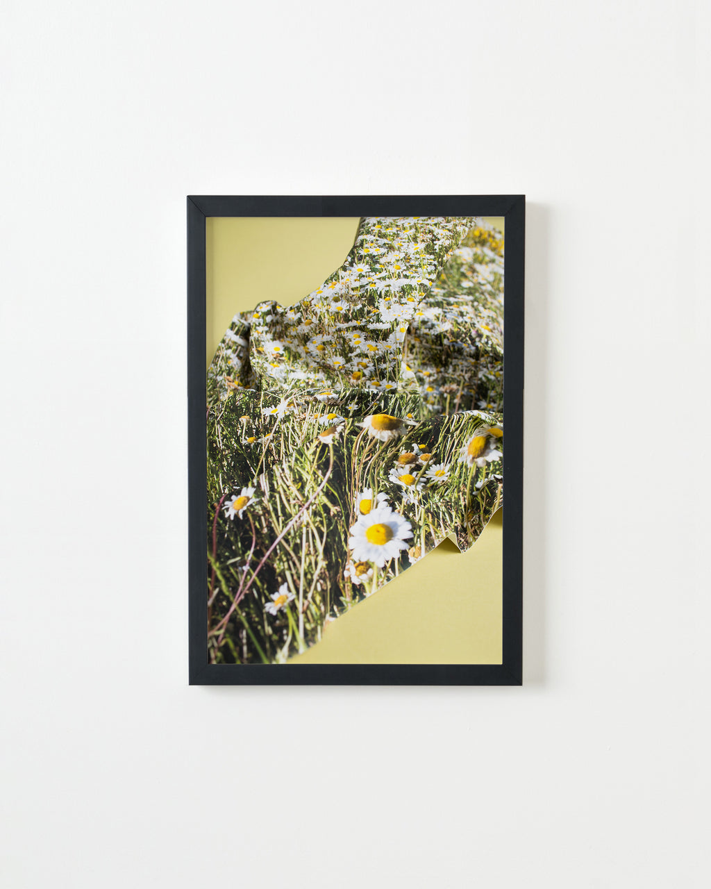 Photography by Teresa Christiansen titled "Inflect" - 3.