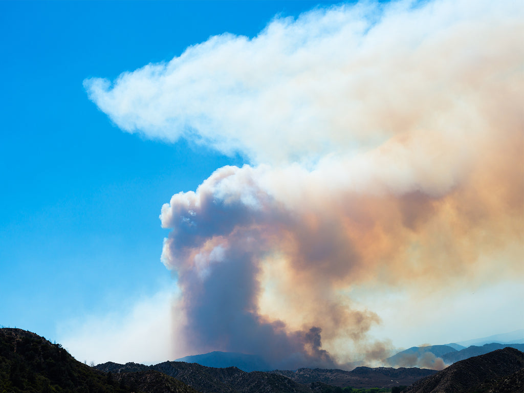 Photography by Jessica Haye & Clark Hsiao titled "The Five" - 2.