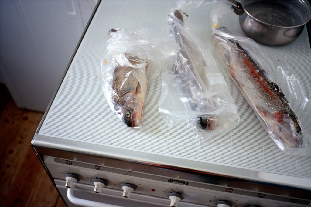 Photography by Jessica Haye & Clark Hsiao titled "Trout" - 2.