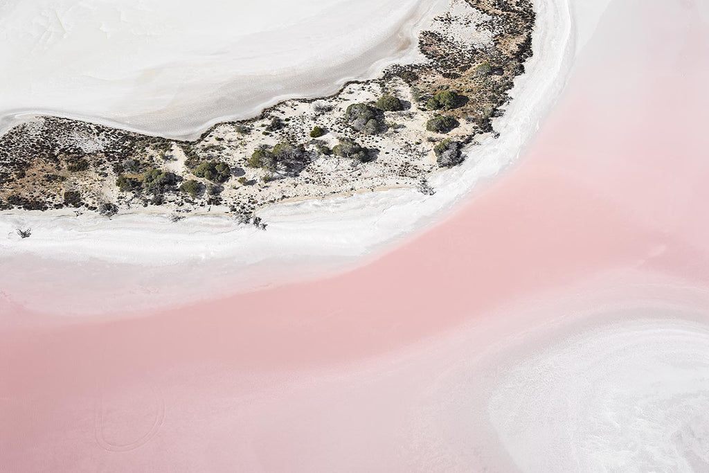 Photography by Brooke Holm titled "Sea Lake VIII" - 2.