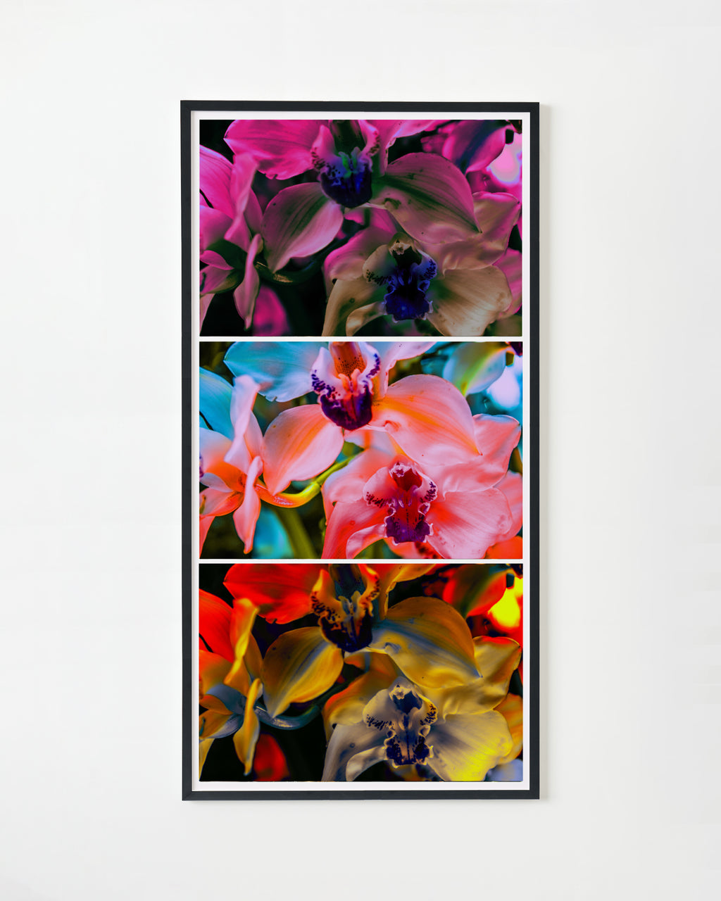 Photography by Dolly Faibyshev titled "Nothing But Flowers" - 3.