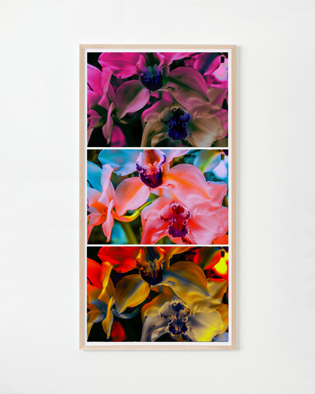Photography by Dolly Faibyshev titled "Nothing But Flowers" - 4.